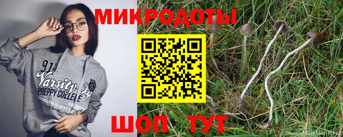 Краснодар  Псилоцибиновые грибы ЛСД  Вход с VPN  Псилоцибиновые грибы ЛСД 